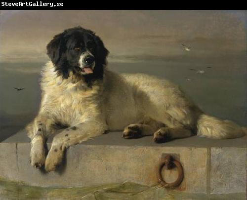 Landseer, Edwin Henry A Distinguished Member of the Humane Society